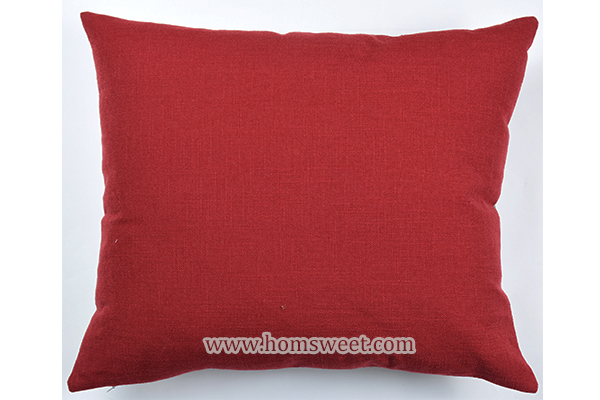 Elegant Woven Pillow  