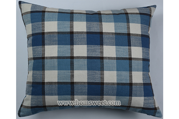 Elegant Woven Pillow  