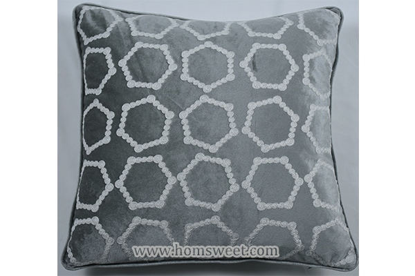 Luxury Embroidery Velvet Pillow       